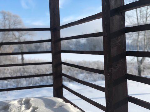 spruce branch covered with inium on the background of a snowy meadow and an abandoned house on a winter frosty Sunny day