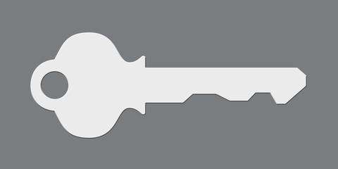 Key shape or symbol isolated on white.