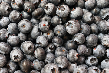 Closeup view of the fresh ripe blueberries. Blueberries background.d