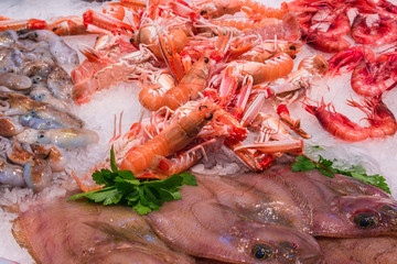 Fresh seafood on the market in Barcelona