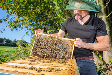 Portrait of male beekeper with hive