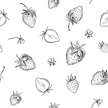 Strawberry seamless pattern. Hand drawn illustration with transparent background. Vector