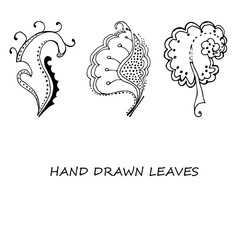 Obraz premium Hand-drawn leaves doodles set. Black silhouettes on white background.Isolated.