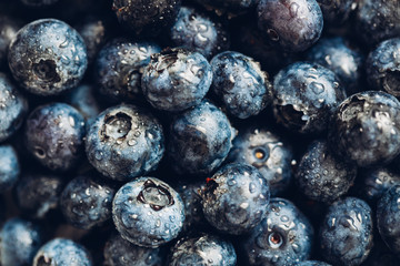 Background from freshly picked blueberries