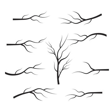 Bare tree branch silhouettes. Leaves, swirls and floral elements