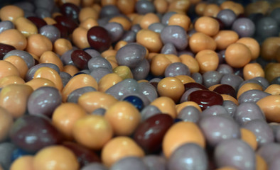 closeup photo of a display of jelly beans