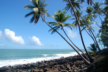 Amérique du sud, Guyane, Kourou, îles du Salut , île Saint Joseph.