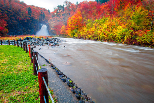 Waterfall Among Many Foliage, In The Fall Leaves Leaf Color Change In Akita Prefecture, Japan.Onsen Atmosphere.