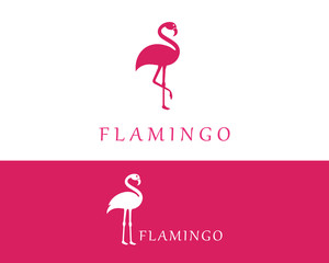 Flamingo bird illustration design