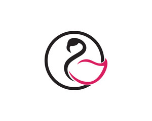 Fototapeta premium Flamingo bird illustration design