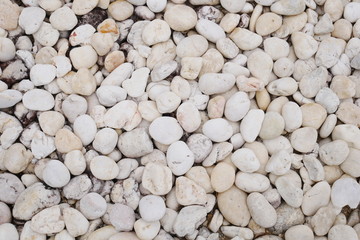 white pebble stone background