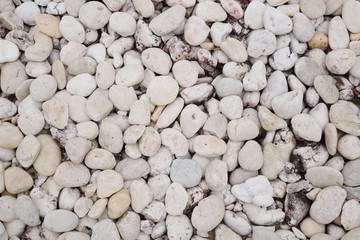 white stone background, white pebble beach stone