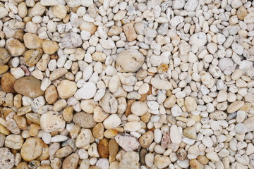 white stone background, white pebble beach stone