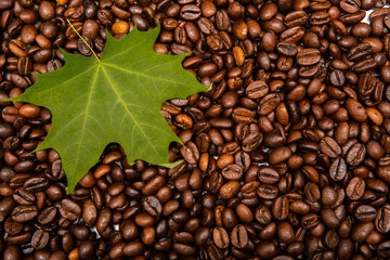 Autumn maple leaf on roasted coffee beans.