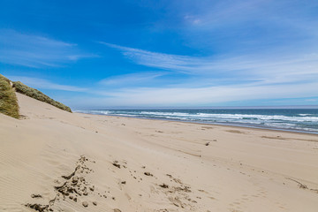 A sandy beach on the Oregon coast, on a sunny summers day