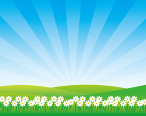 Fototapeta premium Meadow vector illustration with flower and sunny sky suitable for children theme background 