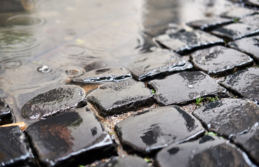 Cobblestone brick paved wet street in Rome, Italy