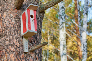 Striped wooden bird feeder hangs on pine tree in forest.