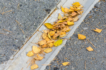 Autumn dry leaves fall from the trees lie drain channel for water.