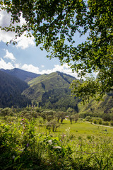 Mountains near the city of Almaty, Kazakhstan. Summer in the mountains, Kaskelen Gorge