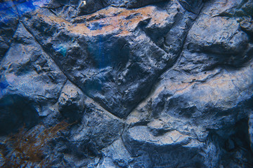texture of wild stone with moss and vegetation, abstract texture of natural solid minerals
