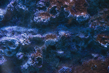 texture of wild stone with moss and vegetation, abstract texture of natural solid minerals