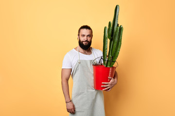 handsome maler florist dressed in apron standing with a big cactus planted in red bucket isolated...