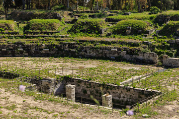 Old grown with grass stairs of Ancient ruins of Anfiteatro Romano Siracusa