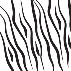 Zebra print or animal skin. Tiger stripes abstract pattern vector