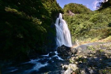 Fototapeta na wymiar 奈良の不動七重の滝
