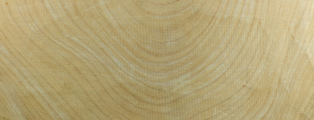 Annual ring tamarind wood