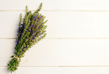 hyssop bunch with blue flowers on a white wooden background.	