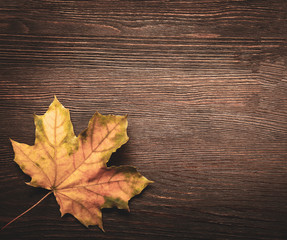 autumn leaf on wood background (top view)