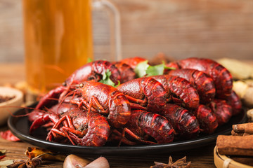 Boiled crayfish with beer on wooden background