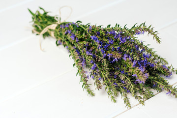 hyssop bunch with blue flowers on a white wooden background.
