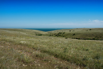 Fototapeta premium Rural life. Beautiful landscape and nature.