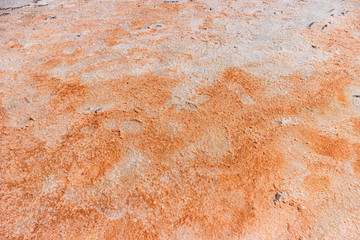 Orange  dry salt