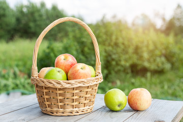 Green and red apples in wicker basket on wooden table Green grass in the garden Harvest time Organic food Sun flare