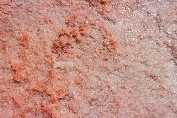 Salt on the pink lake