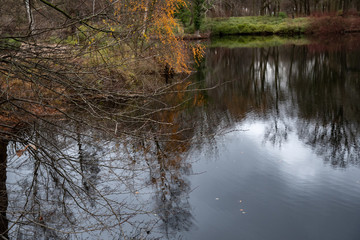 Fototapeta na wymiar River in forest, Tranquil autumn landscape with lake in Tiergarten park of Berlin Germany. Bare tree branches on foreground and blurry reflection of tree silhouettes in wavy water surface. 