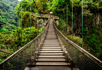 wood foodbridge in the  Ecuadorian amazonic jungle - obrazy, fototapety, plakaty