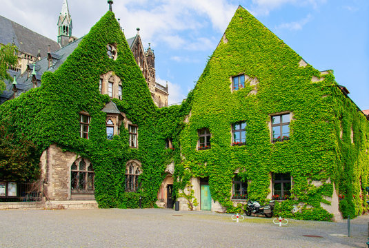 the facade of a building covered with the plant