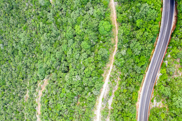 Aerial view of green road and pathways