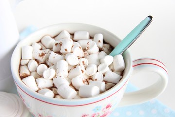 Fototapeta na wymiar A Cup of cocoa and marshmallows on a white background.