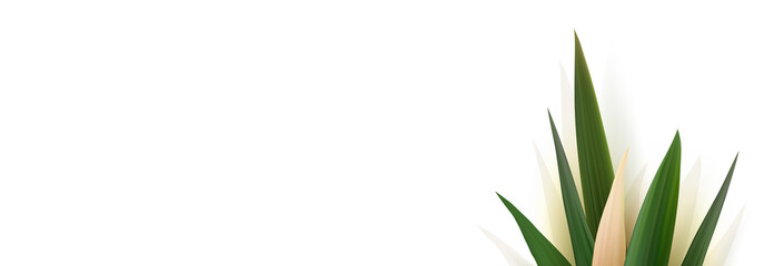 Realistic tropical leaves template