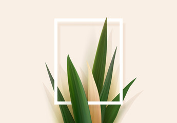 Realistic tropical leaves template. Palm leafs background. Minimal concept 3d tropical nature. Creative leaves palm. Vector illustration