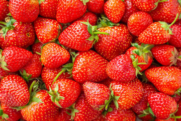Fresh organic Strawberry fruit background Top view closeup