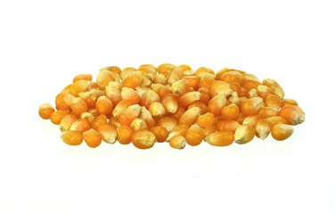 Yellow grain corn isolated on white background, for popcorn