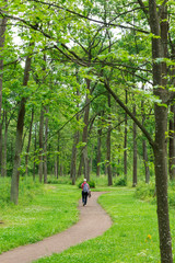 Fototapeta premium man walks path in the forest among the tall green trees