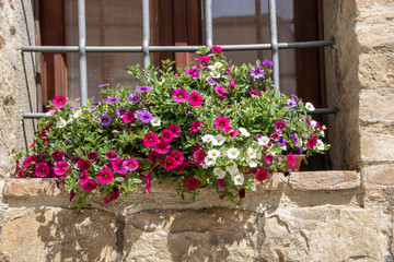 flowers from a window on a stone wall